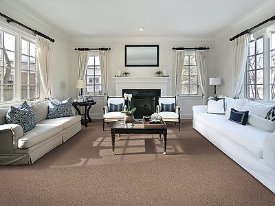 Room Scene of Beautiful Addition - Carpet by Mohawk Flooring