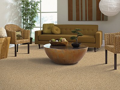 Room Scene of Relaxing Retreat - Carpet by Mohawk Flooring