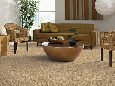 Room Scene of Euphoria - Carpet by Mohawk Flooring