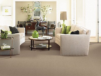 Room Scene of Pure Refinement - Carpet by Mohawk Flooring