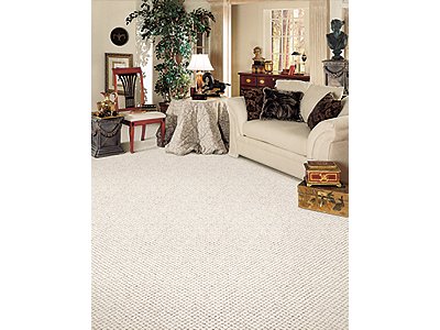 Room Scene of Berber Ease - Carpet by Mohawk Flooring
