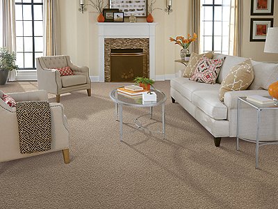 Room Scene of Exceptional Beauty - Carpet by Mohawk Flooring