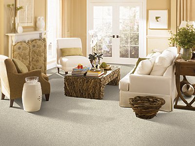 Room Scene of Classic Attraction - Carpet by Mohawk Flooring