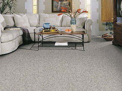 Room Scene of Key Elements - Carpet by Mohawk Flooring