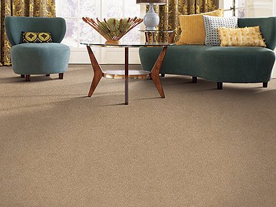 Room Scene of All's Fair - Carpet by Mohawk Flooring