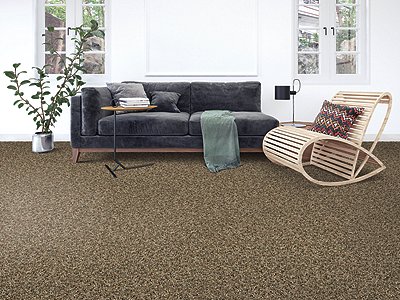 Room Scene of Enchantingly Soft I - Carpet by Mohawk Flooring
