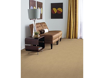 Room Scene of Advanced Elements - Carpet by Mohawk Flooring
