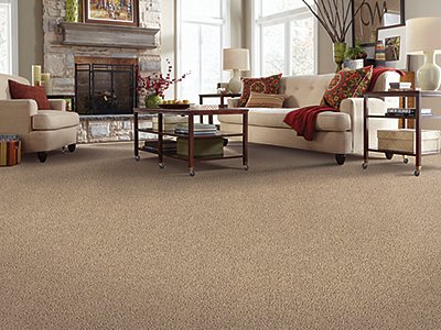 Room Scene of Lifetime Achievement - Carpet by Mohawk Flooring
