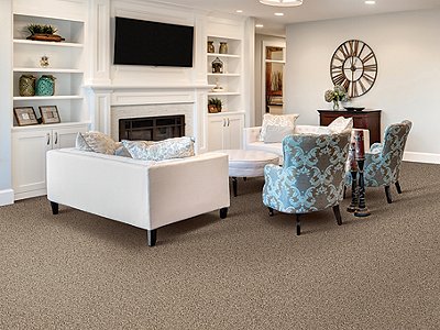 Room Scene of Relaxed View - Carpet by Mohawk Flooring