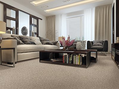 Room Scene of Relaxed Mood - Carpet by Mohawk Flooring