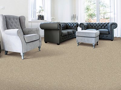 Room Scene of Earthly Details I - Carpet by Mohawk Flooring