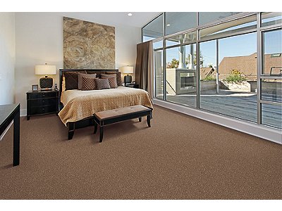 Room Scene of Pure Blend I - Carpet by Mohawk Flooring