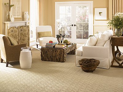 Room Scene of Guided Path - Carpet by Mohawk Flooring