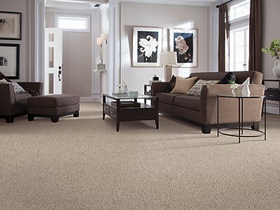 Room Scene of Timeless Idea - Carpet by Mohawk Flooring