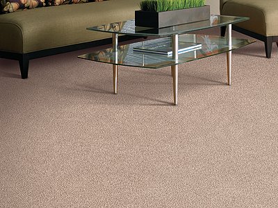 Room Scene of Simply Soft I - Carpet by Mohawk Flooring