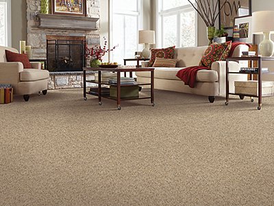 Room Scene of Tender Resolve II - Carpet by Mohawk Flooring