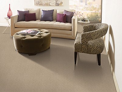Room Scene of Dynamo - Carpet by Mohawk Flooring