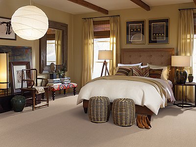 Room Scene of Headland Pass - Carpet by Mohawk Flooring