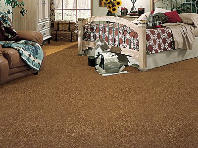 Room Scene of Salsa - Carpet by Mohawk Flooring