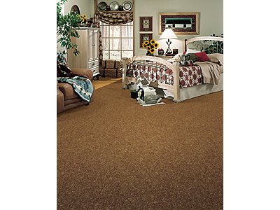Room Scene of Flaunting - Carpet by Mohawk Flooring