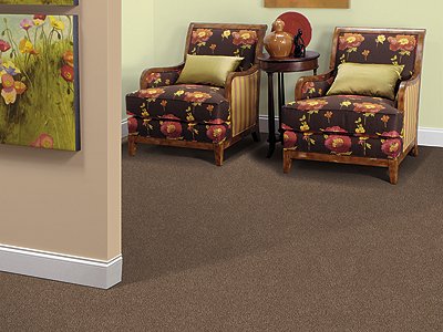 Room Scene of Coastal Path III - Carpet by Mohawk Flooring