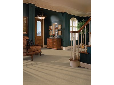 Room Scene of Park Terrace - Carpet by Mohawk Flooring