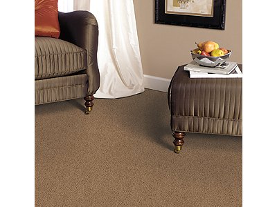 Room Scene of Playful Nature - Carpet by Mohawk Flooring