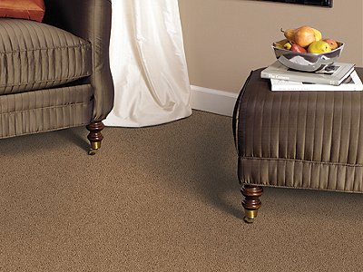 Room Scene of Playful Nature - Carpet by Mohawk Flooring