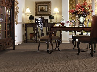 Room Scene of Great Outdoors - Carpet by Mohawk Flooring
