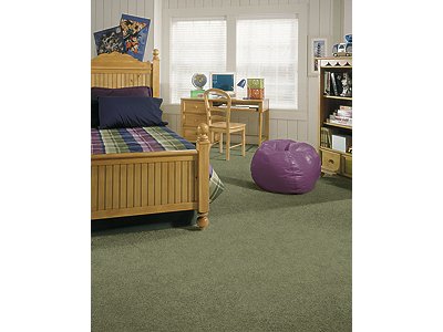 Room Scene of Comfort Zone - Carpet by Mohawk Flooring