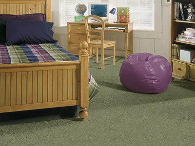 Room Scene of Comfort Zone - Carpet by Mohawk Flooring