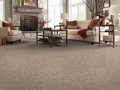 Room Scene of Pleasing View - Carpet by Mohawk Flooring