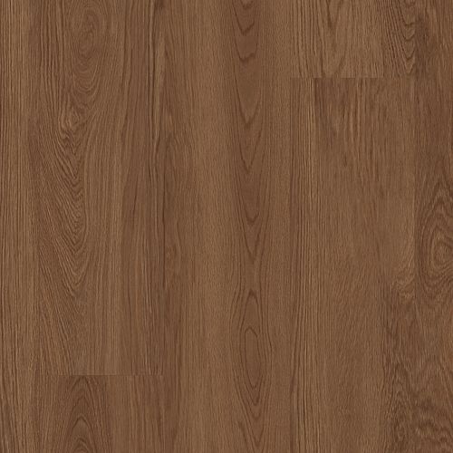 Sequoia