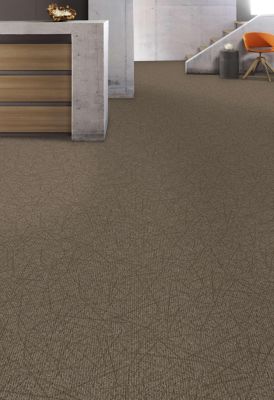 Commercial on sale carpet colors