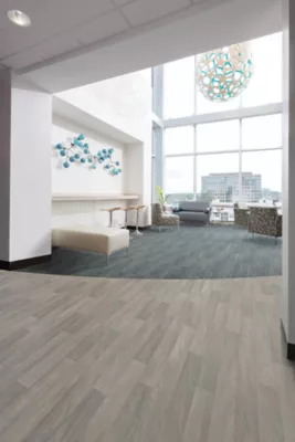 Healthy Environments Heterogeneous Resilient Sheet: Calmness II