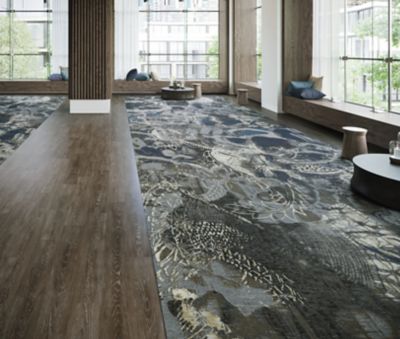 Innovative Collections: Saaya and Spirit Moderne