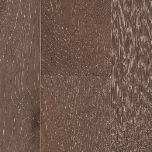 Sumatra Oak