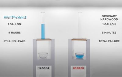 Infographic depicting WetProtect's Lifetime Warranty
