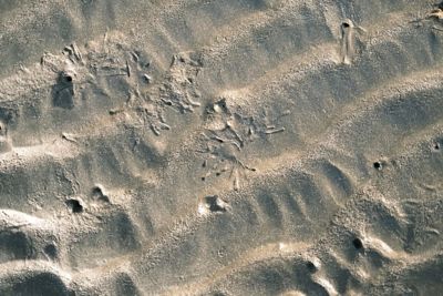 Infuse 029 Inspiration