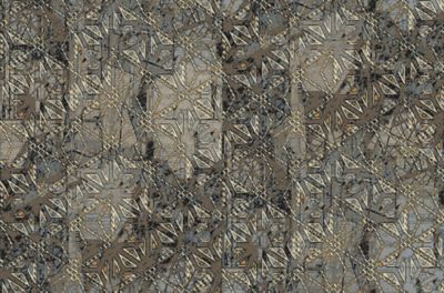 Tranquil Trails - QTW103019 - Definity Broadloom