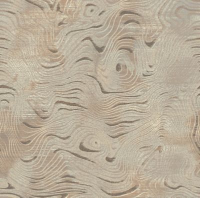 Infuse 026 - QTW103177 - Definity Broadloom