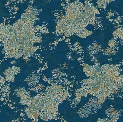 Infuse 029 - QTW109643 - Definity Broadloom