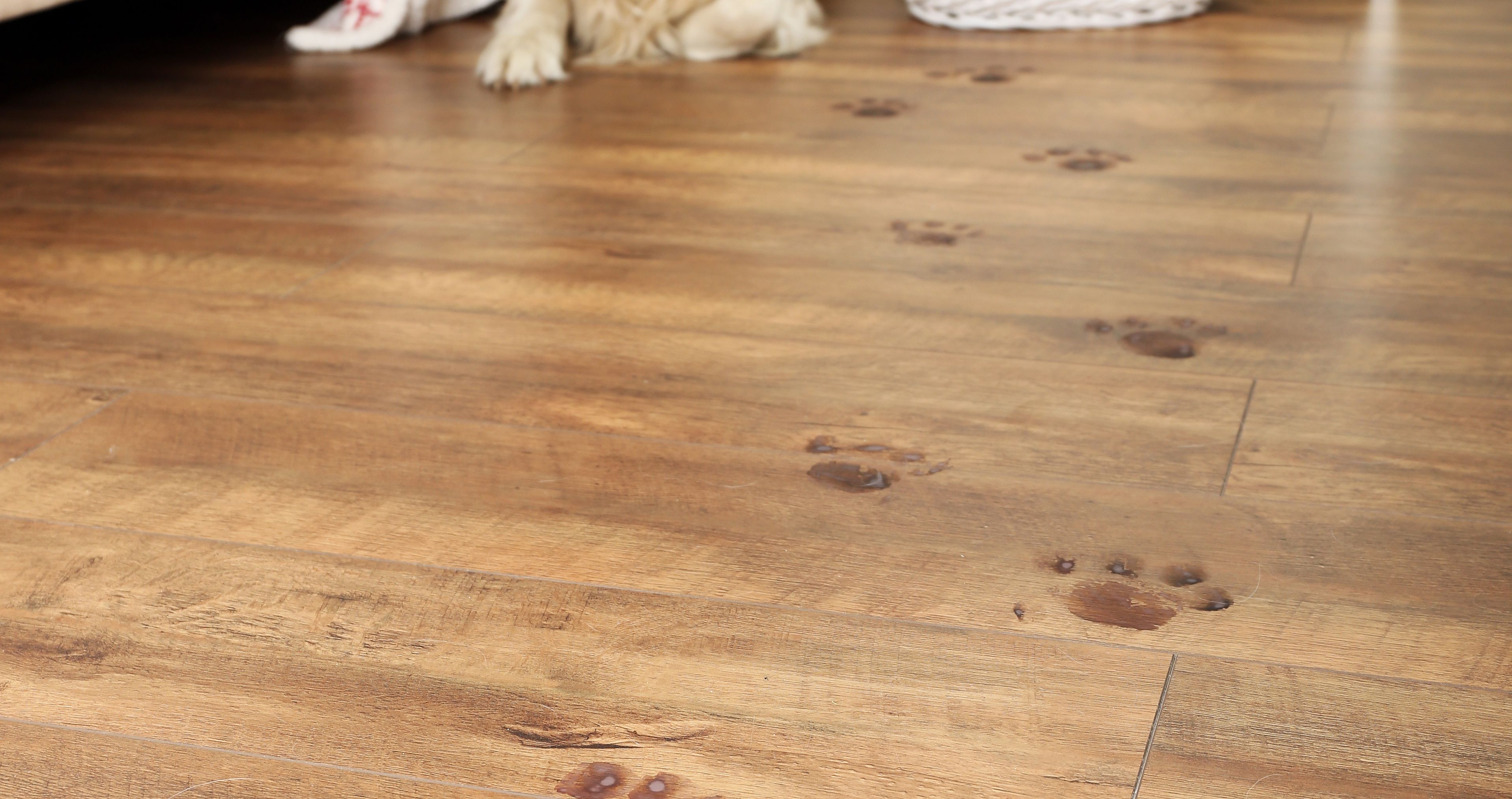 Mohawk Flooring, Best Scratch Resistant Hardwood Flooring