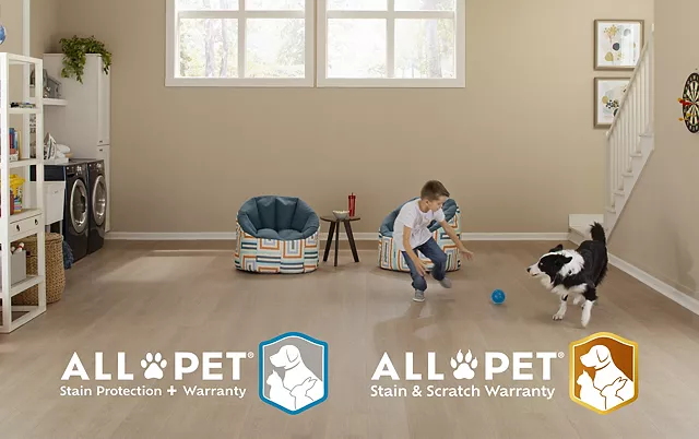 <h2>All Pets. All Accidents. All the Time.</h2>