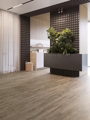 Living Local - Woods 2.5 - LVT Collection