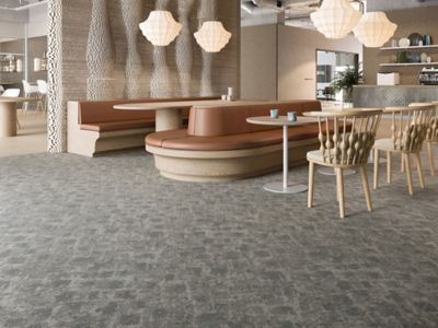 Adaptive Alliance - Book 2 - Geo Path, 934 Stone Harbor - Broadloom