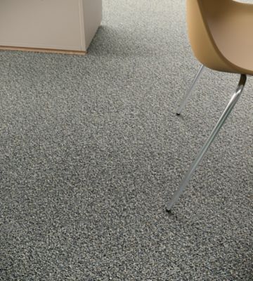 Faculty Renewal - 868 Denali - Broadloom