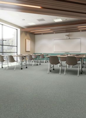 Faculty Renewal - 726 Exit Glacier - Carpet Tile