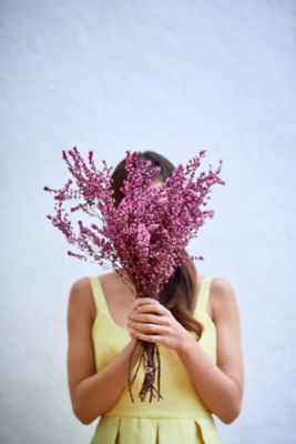 Culture of Care - ReBloom