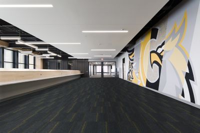 Black and Gold Palette